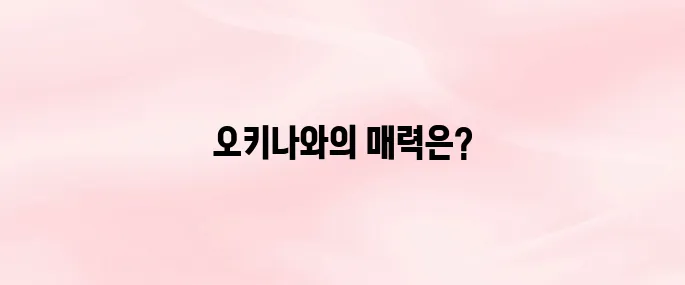 일본 오키나와 자유여행 명소 및 드라이브 코스, 음식 추천