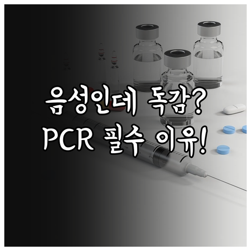 B형 독감 신속항원검사 음성 후 PC..