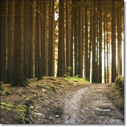 개별공시지가조회