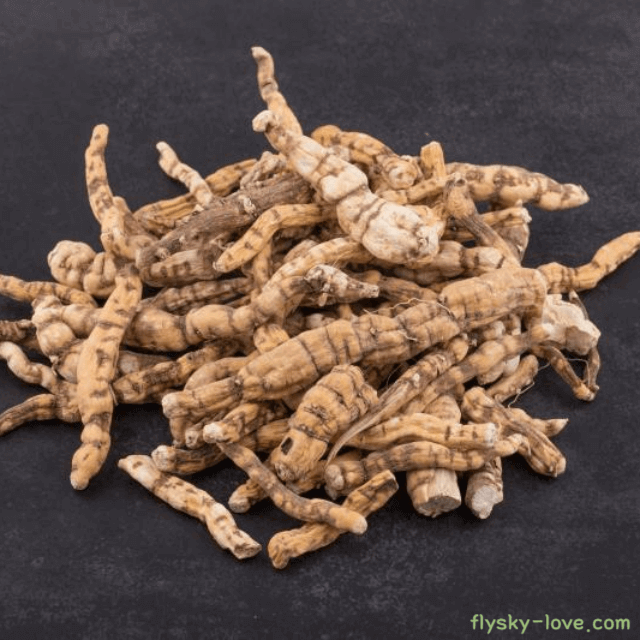 백수오 고르는 법