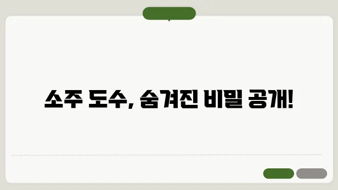 소주 돂18 소주 순위