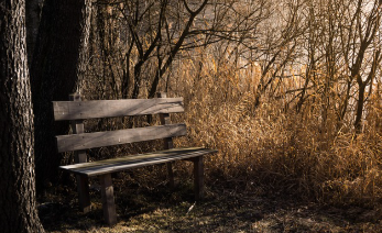 국민은행 정기예금 금리 지금 가입? 6