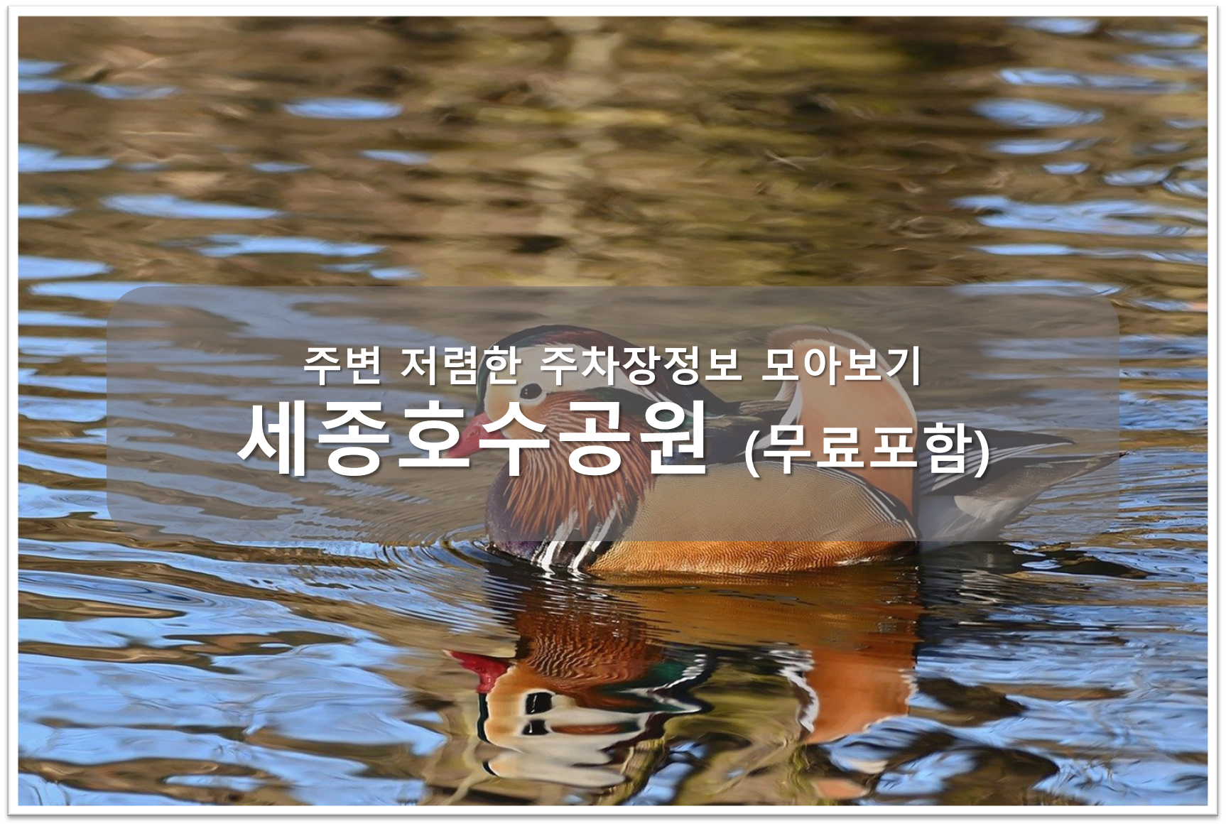 세종호수공원 주차장 안내