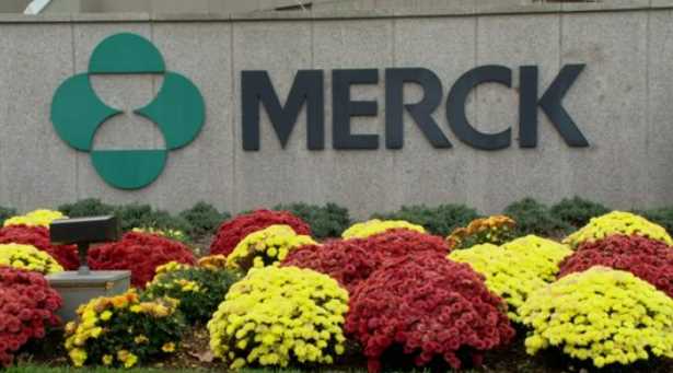 먹는 코로나치료제 관련주 대장주