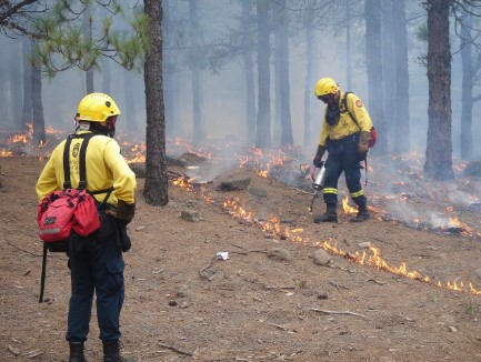 소방관이 산불 진화하는 모습
