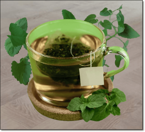 캣닢차 와 캣닢