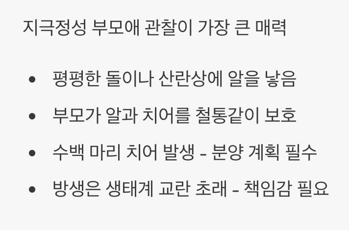 번식 - '폭풍 번식'의 기쁨과 책임