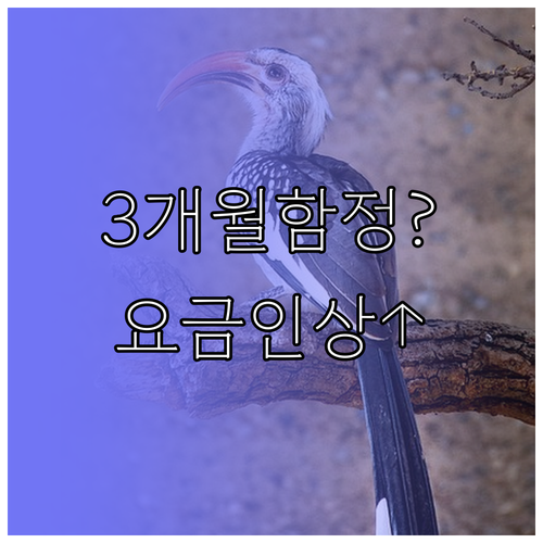 알뜰폰 3개월 할인 종료 후 요금 인..
