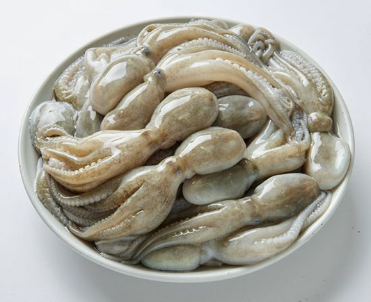 봄 제철음식 쭈꾸미