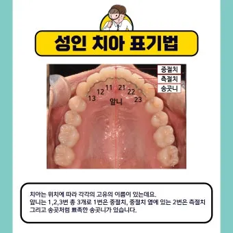 성인 이름의 유래와 축일 선택 가이드_11