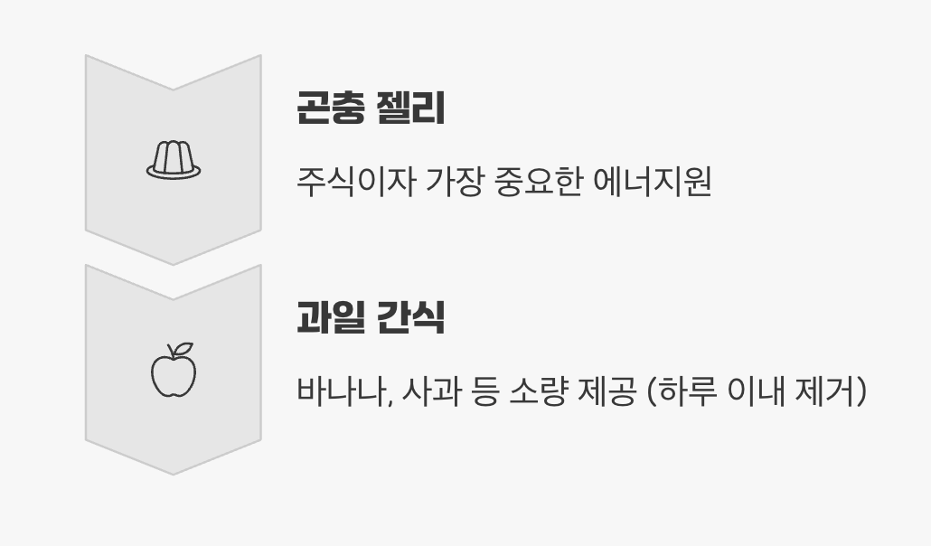 장군님을 위한 특식, '먹이'는 어떻게 줄까?