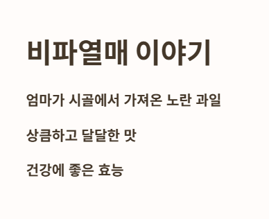 엄마가 주신 작은 황금 열매&amp;#44; 비파열매 이야기