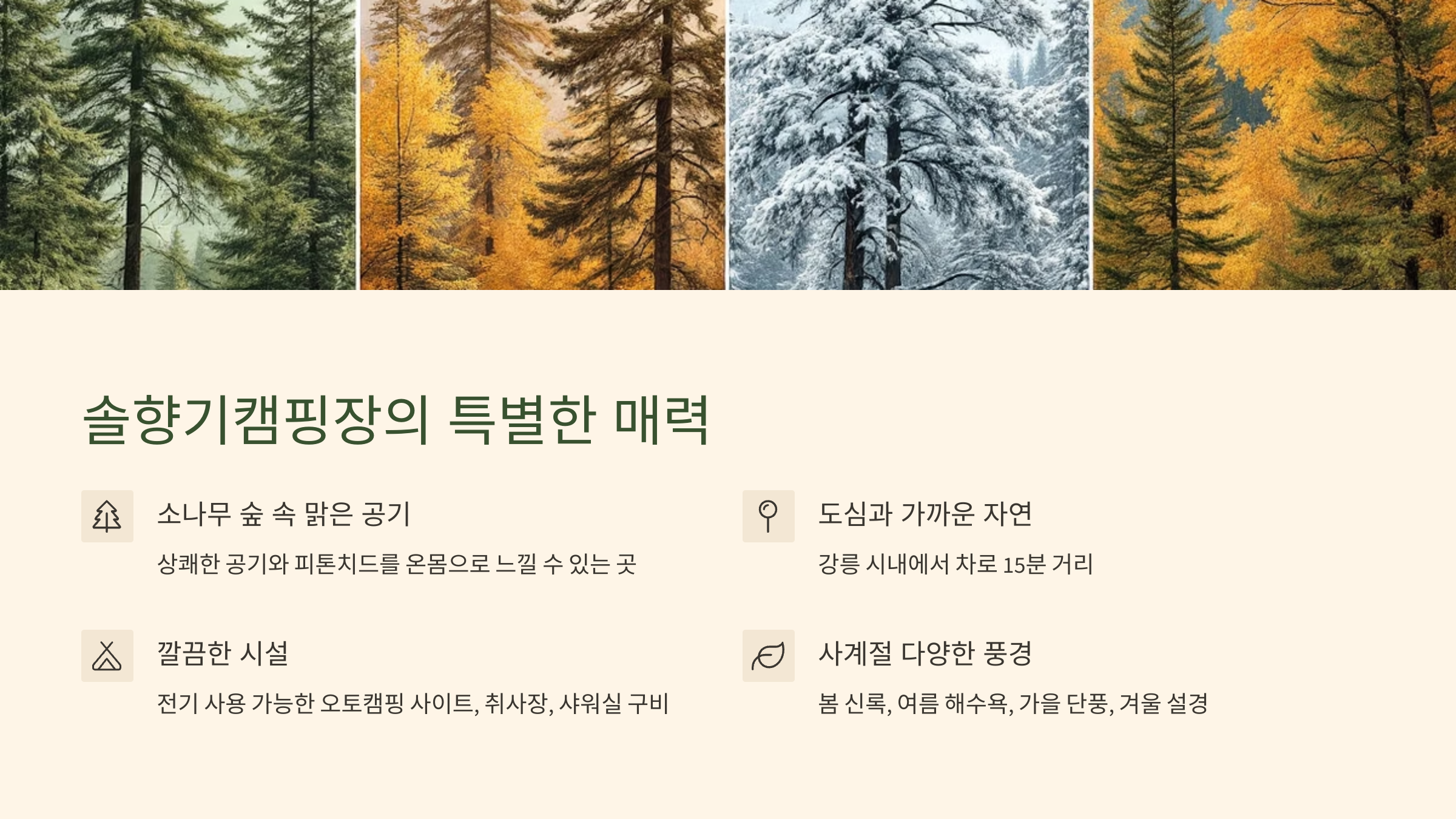 🌲 강릉 솔향기캠핑장, 소나무 숲 속에서 누리는 힐링 캠핑의 정석