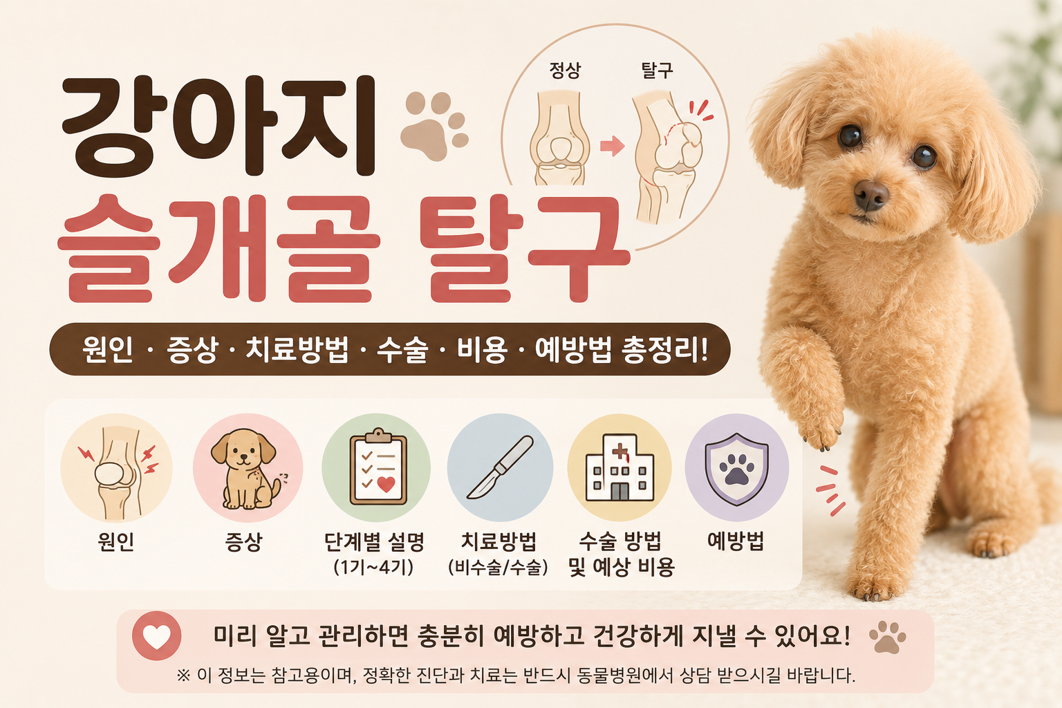 강아지 슬개골 탈구