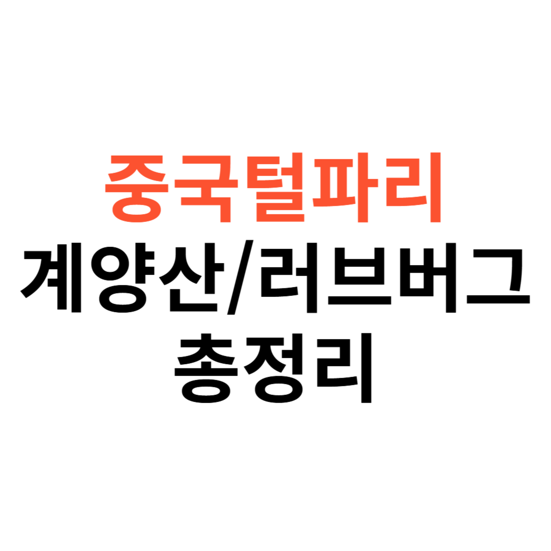 중국털파리