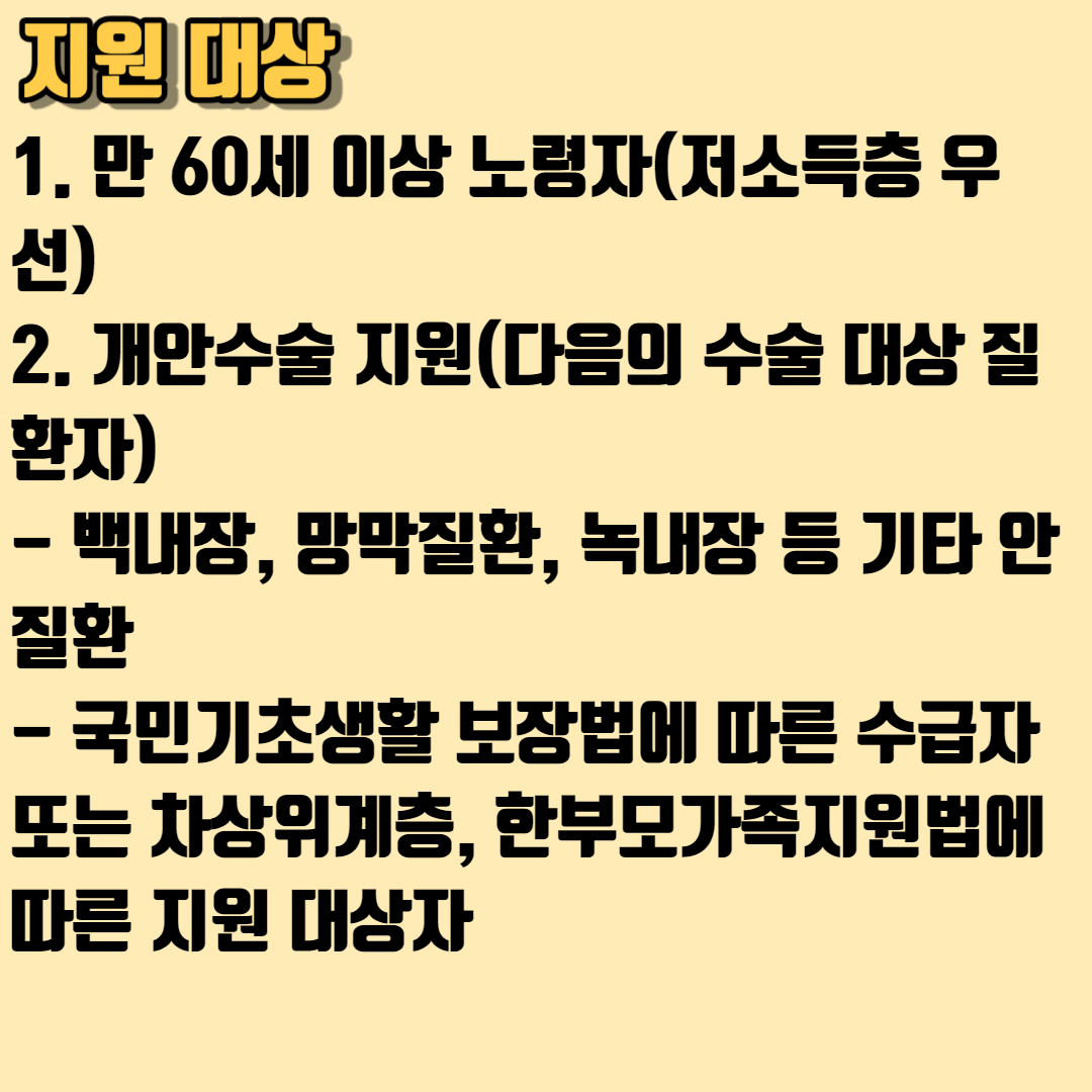 2023 노인 안검진 및 개안수술