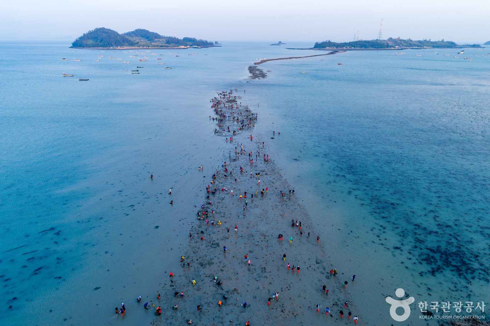 진도 신비의바닷길