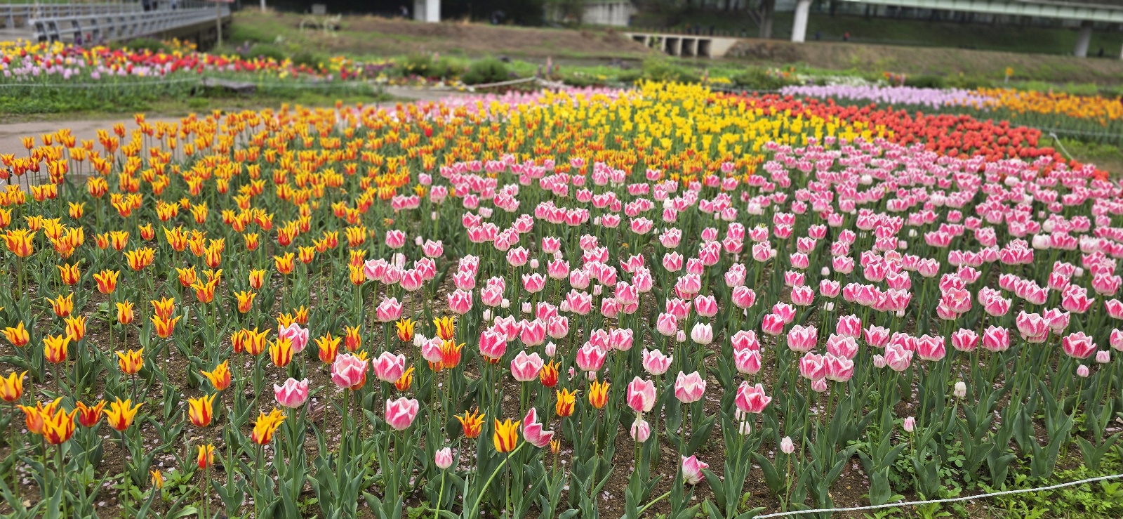 튜울맆 직접 찍은 사진
