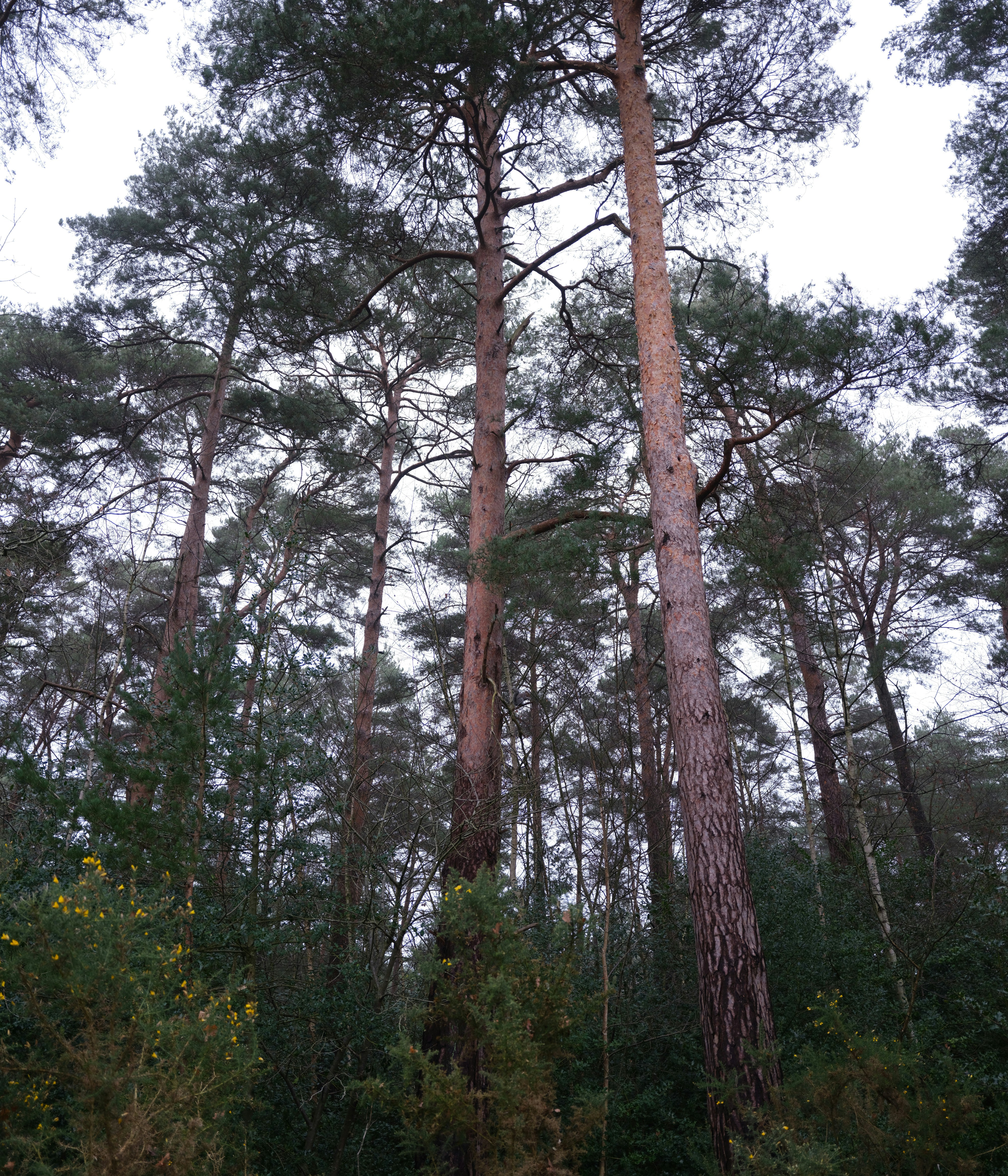 백운산자연휴양림