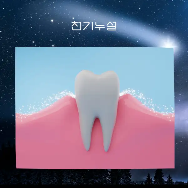 이가 빠지는 꿈해몽