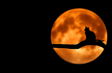 오컬트 뜻&amp;#44; 영화 총정리