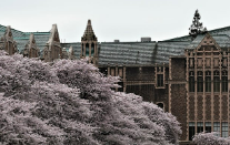 국가장학금 신청