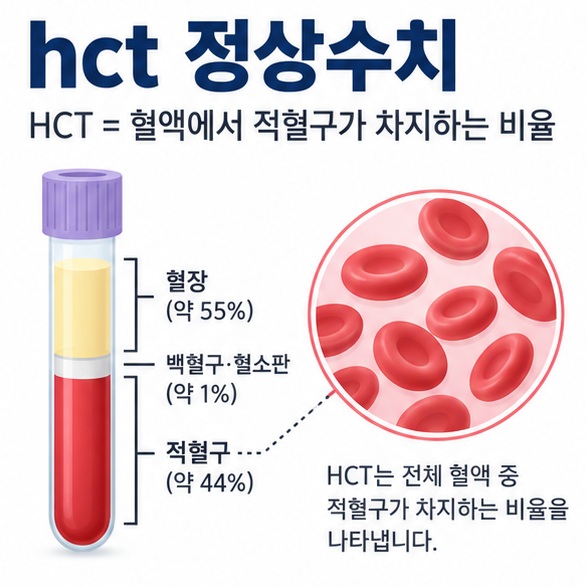 hct 정상수치와 성인 남녀 참고범위를 혈액 속 적혈구 비율로 설명한 건강검사 이미지
