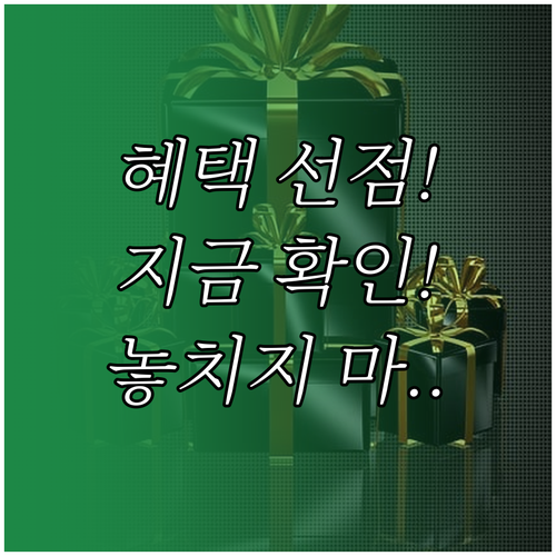 축제 참여 혜택 선점 사전 프로그램 ..