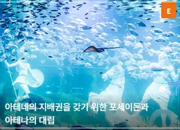 대전-신세계-아쿠아리움-입장료-할인-운영-시간