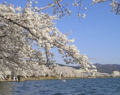 경주 보문호에서의 풍경