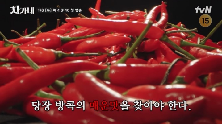 차가네 출연진·토미·국적·시청률·제작진