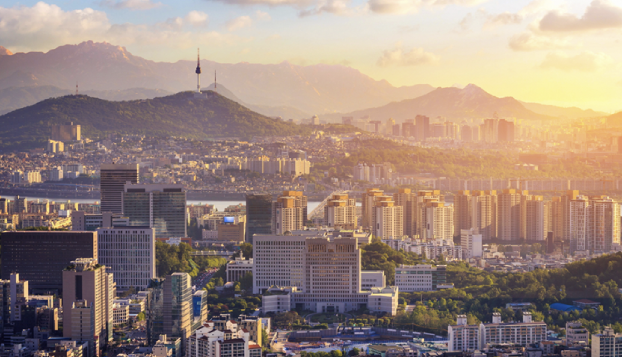 7개 구 규제 예외 지역 vs 타격 지역 비교 분석