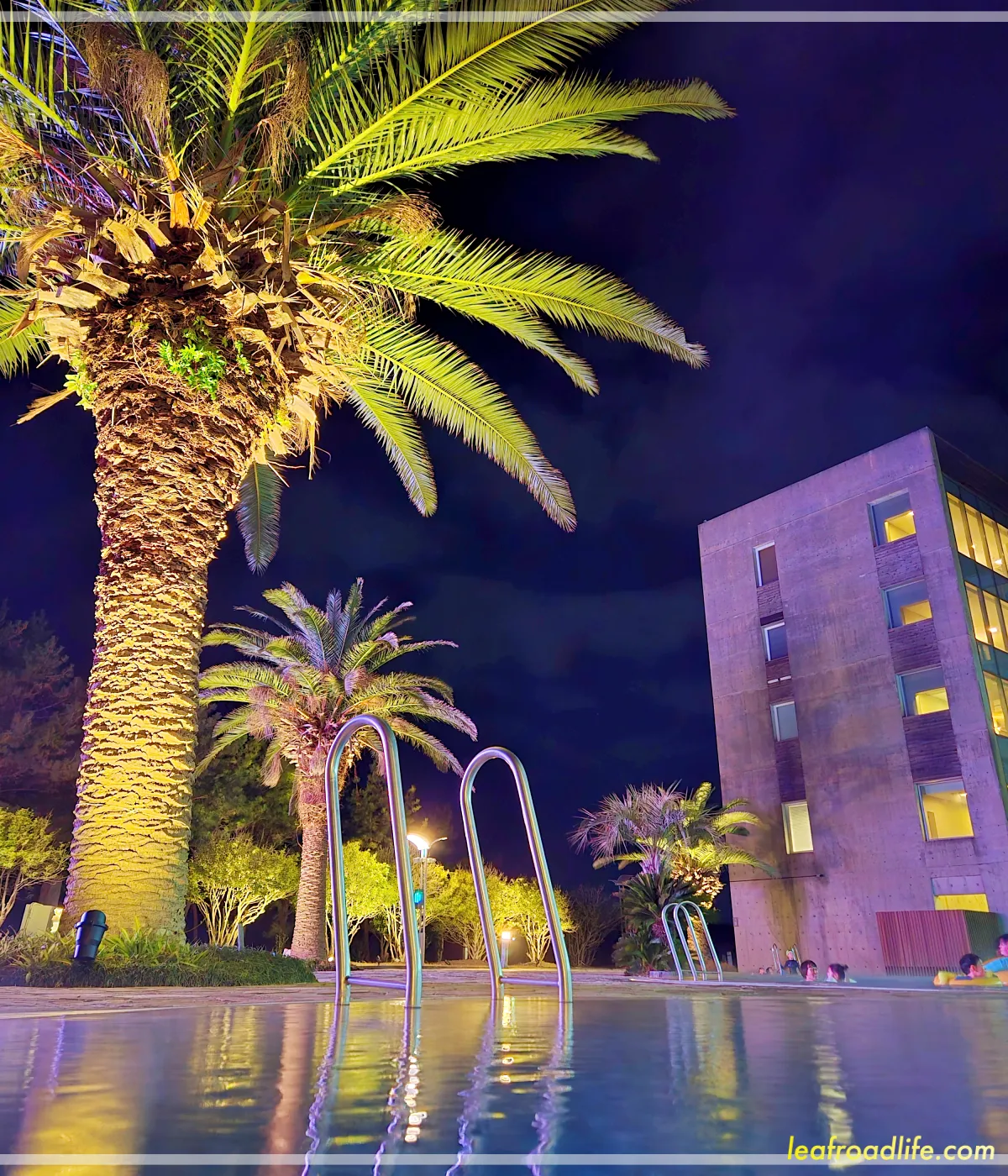 제주-휘닉스-아일랜드-사계절-실외수영장-큰나무