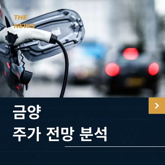 금양 주가 전망 및 분석