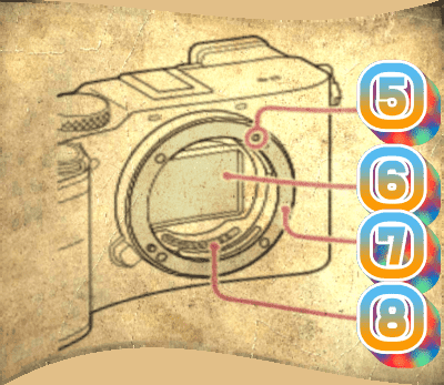 렌즈를 뺀 모양