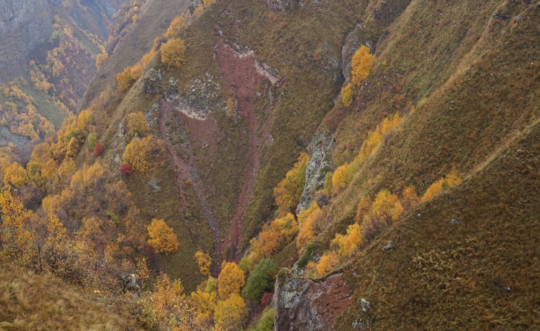 Caucasus
