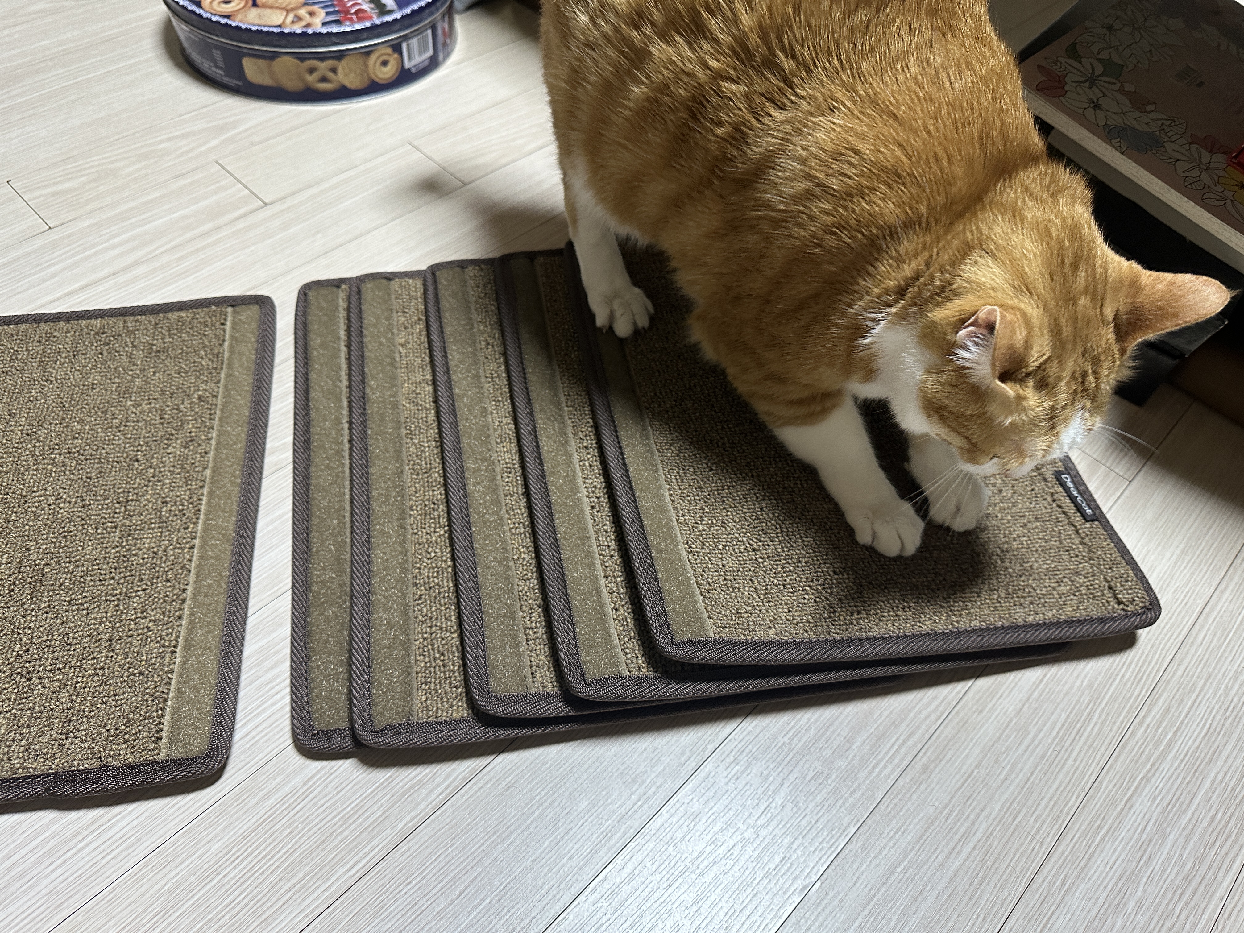 디어캣 캣폴 기둥 스크래쳐 카펫을 교체했다 (feat.신난 냥냥이들 반응)