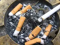 치명적 독성 - 니코틴 중독&#44; 증상과 치료방법