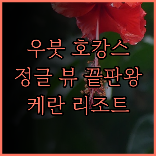 우붓 정글 뷰, 케란 리조트에서의 잊