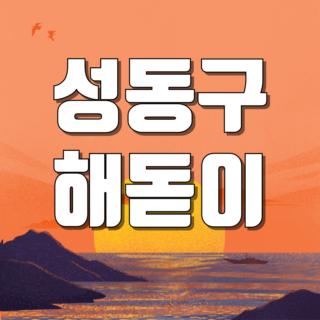 서울 성동구 해돋이 일출 명소