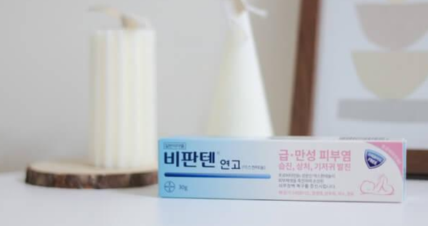 독일의 국민 연고 : 비판텐