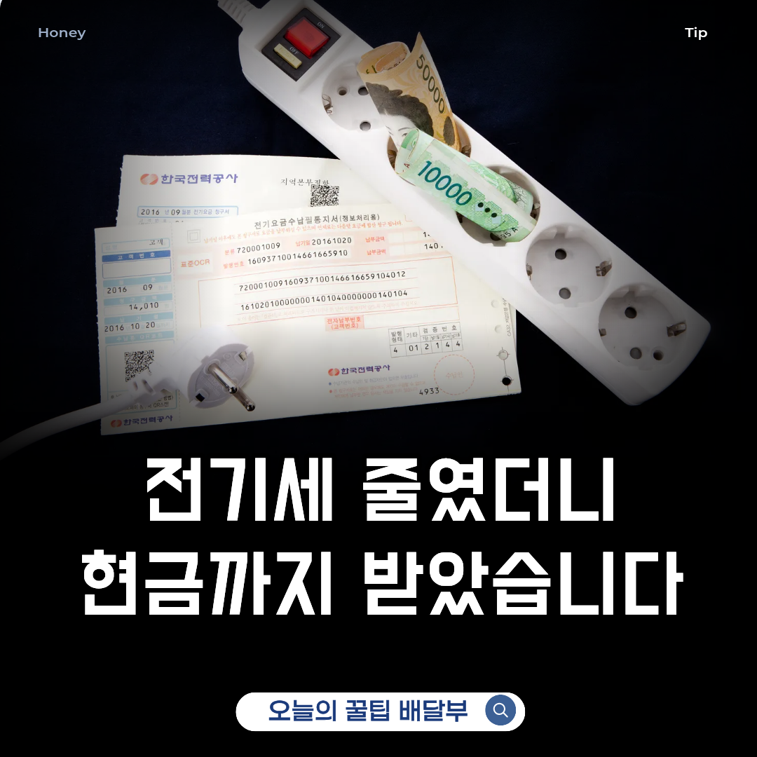 에너지캐시백&middot;탄소중립포인트 신청으로 매달 전기세 가스비 아끼는 방법
