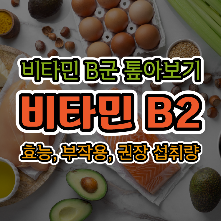 [비타민 B군 톺아보기] 비타민 B2 - 효능, 부작용, 권장 섭취량