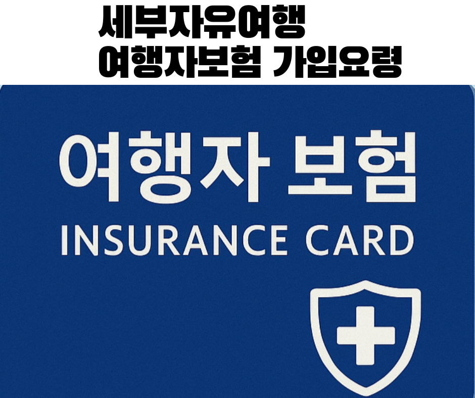 세부 자유여행 여행자보험 가입 요령