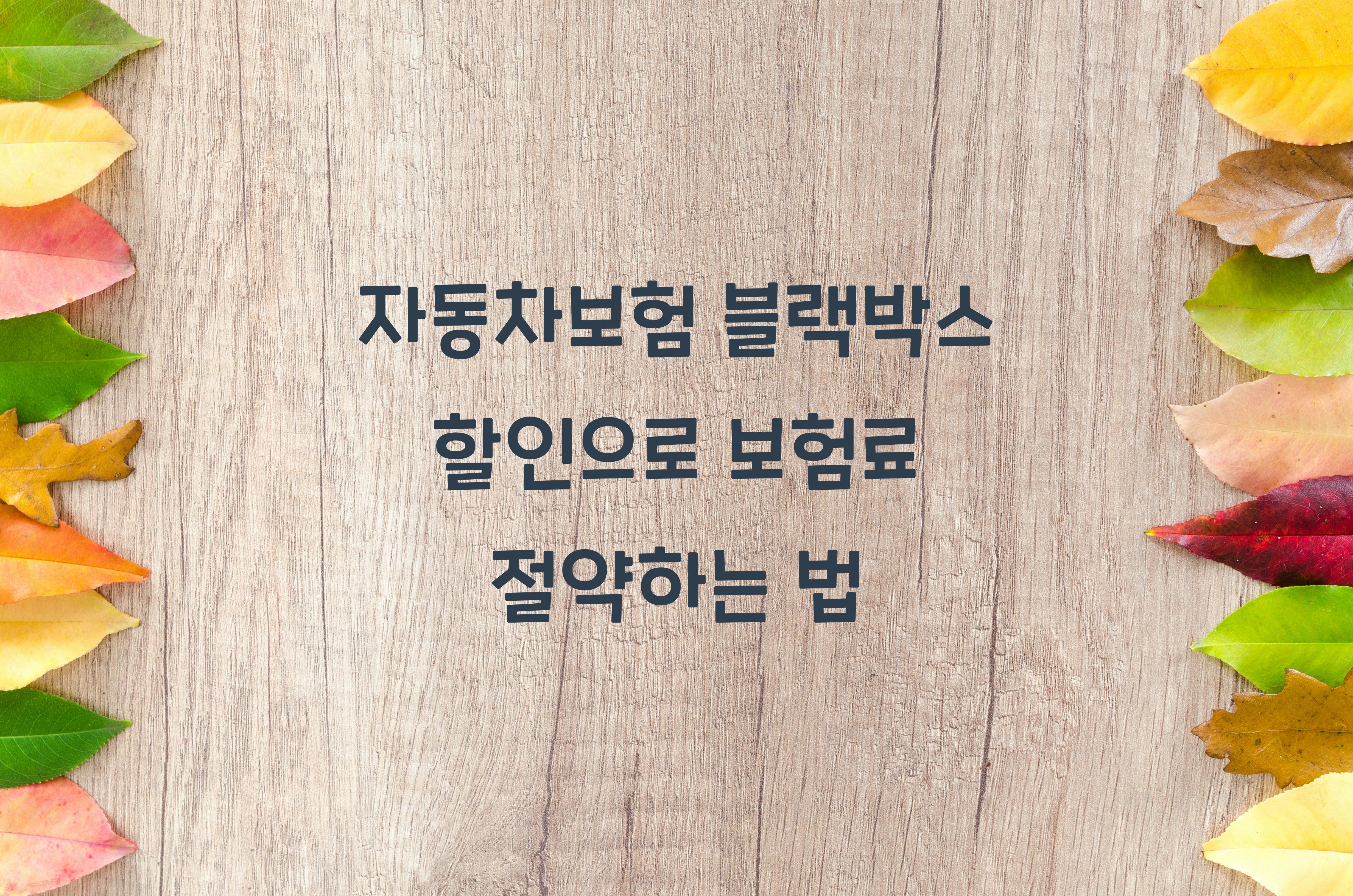 자동차보험 블랙박스 할인
