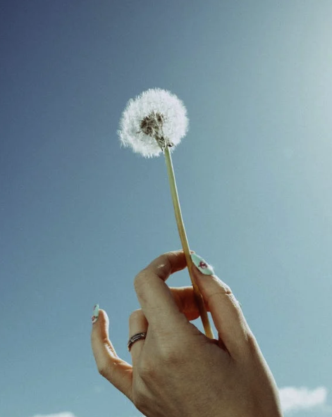 이태원참사 피해자 생활지원금 신청방법