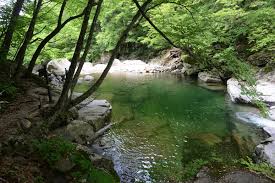 칠선계곡 &ndash; 웅장한 대자연과 함께하는 진짜 오지 피서 (출처:국제신문/레저신문/네이버블로그)