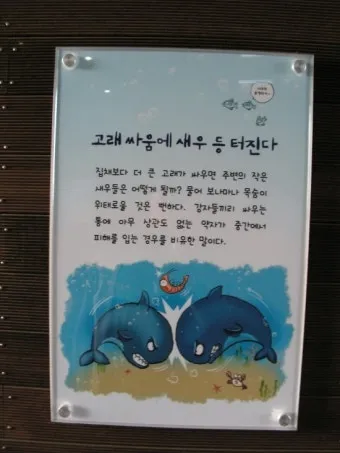 고래 싸움에 새우등 터진다 뜻과 속담 영어 표현 안내집_15