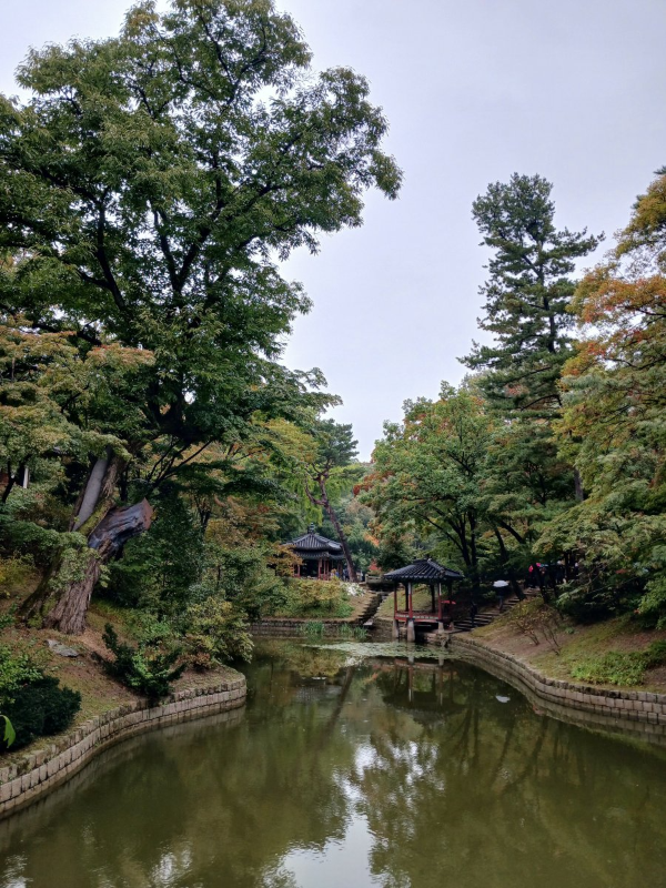 후원 존덕정 부근 연못