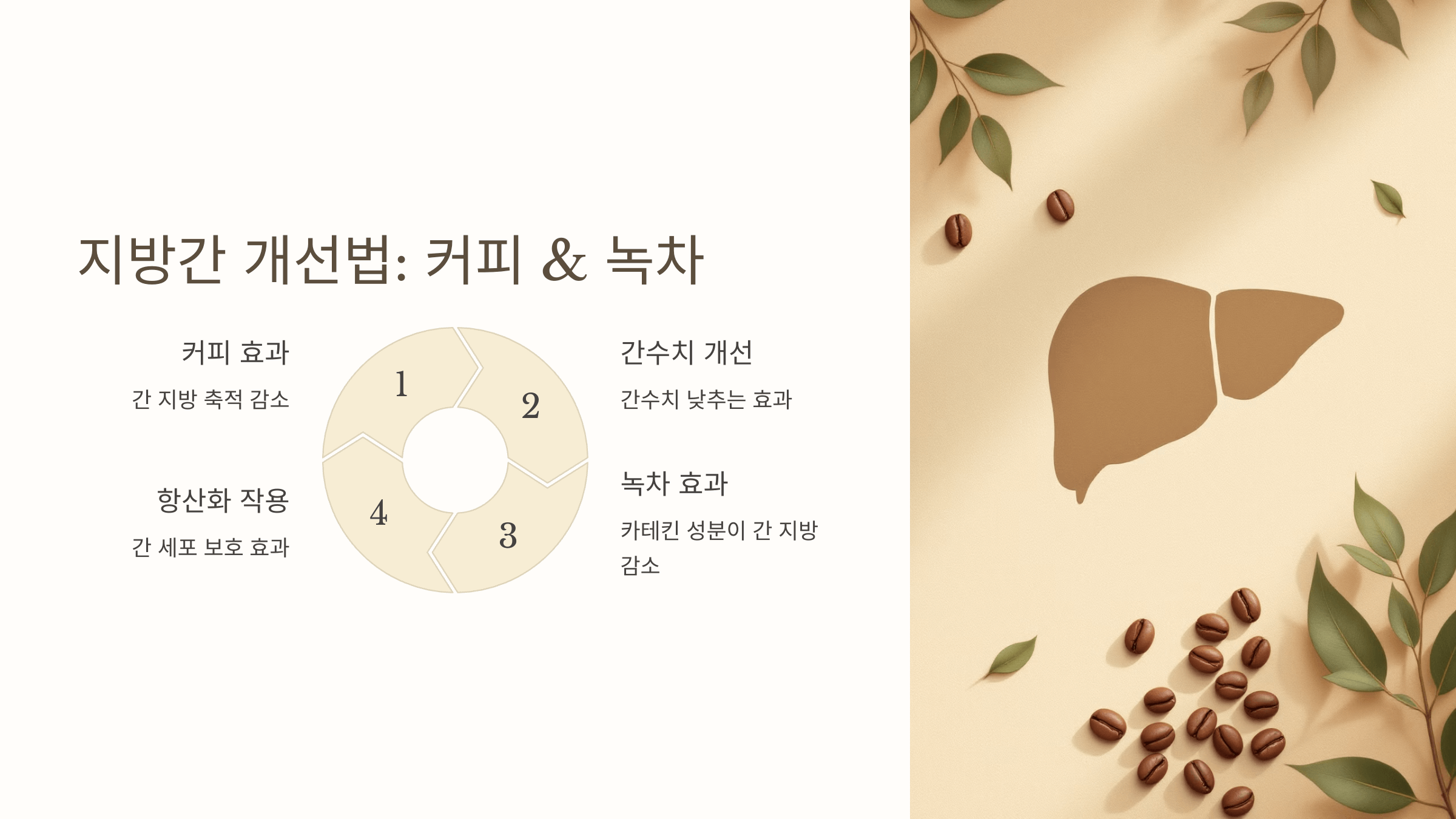 지방간과 관련된 사진입니다.